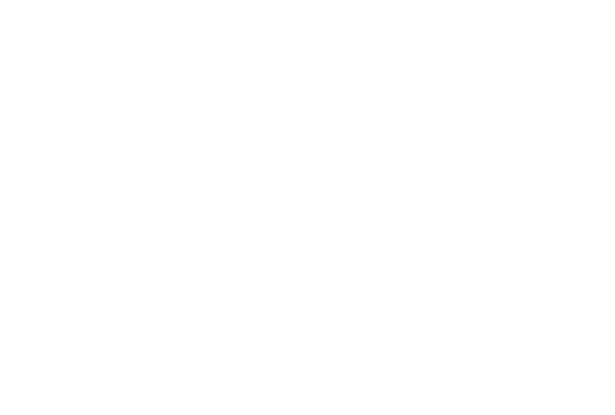 Logo Petshop Stein